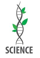  محصولات پوستی ارگانیک و طبیعی آنجل